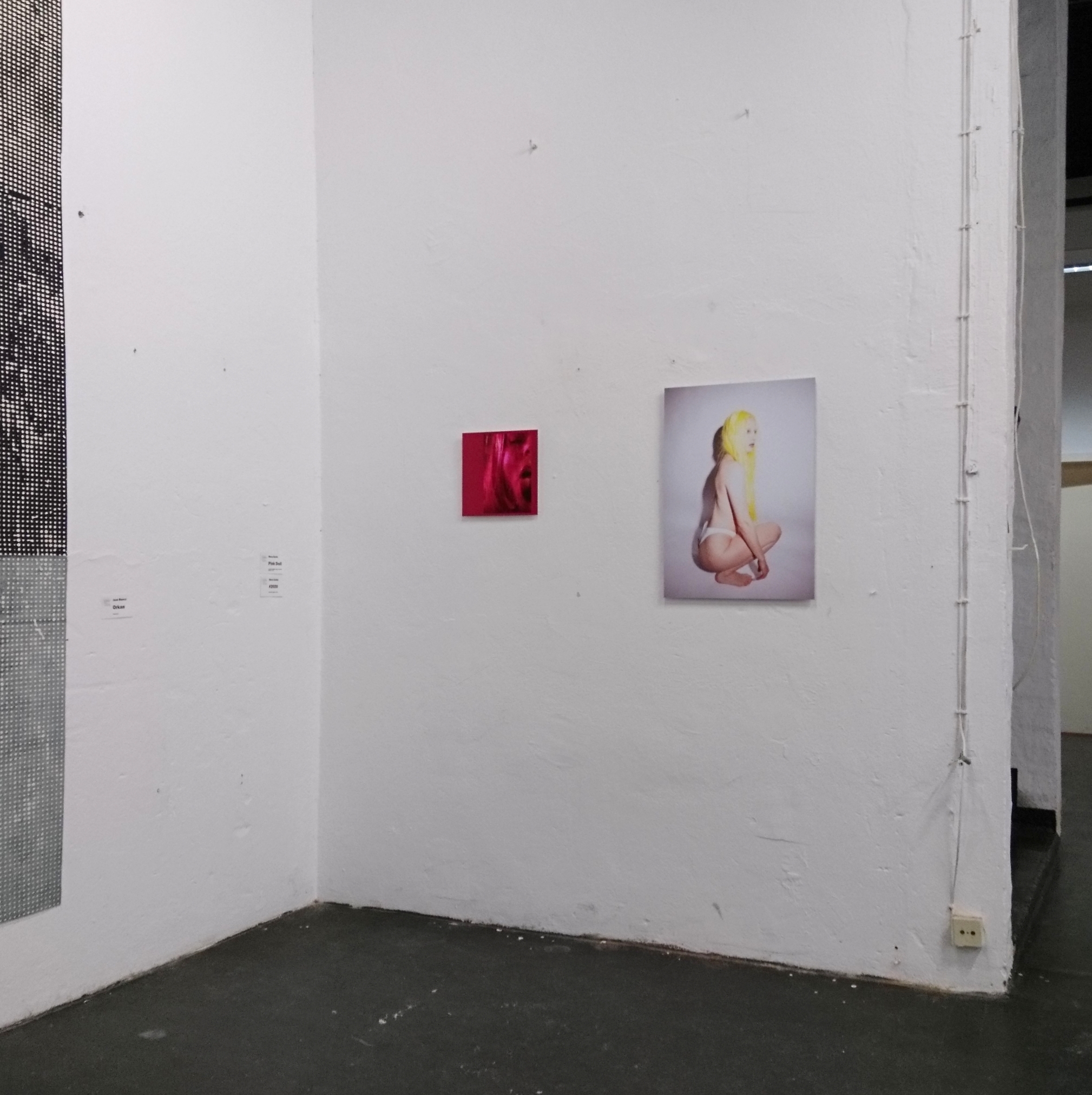 Furios und Wild Exhibition